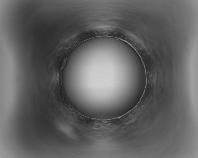 X0000115241061200911061143