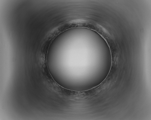X0000115241062200911061143