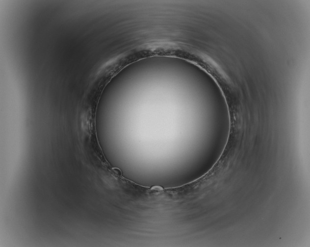 X0000115241063200911061143