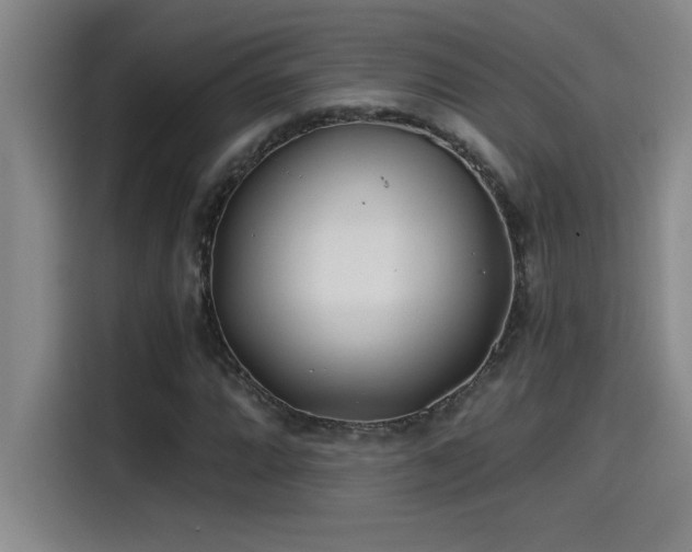 X0000115241064200911061143