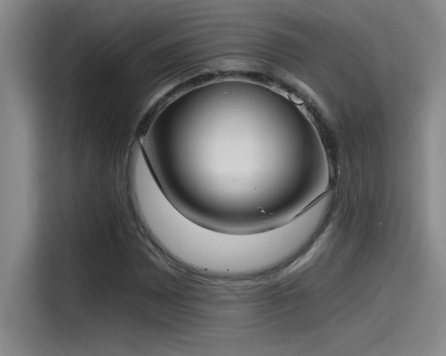 X0000115241065200911061143