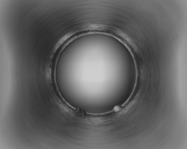 X0000115241066200911061143