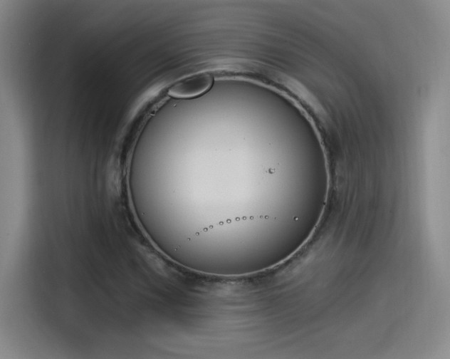 X0000115241067200911061143