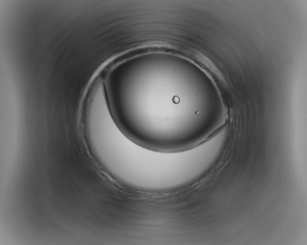 X0000115241068200911061143