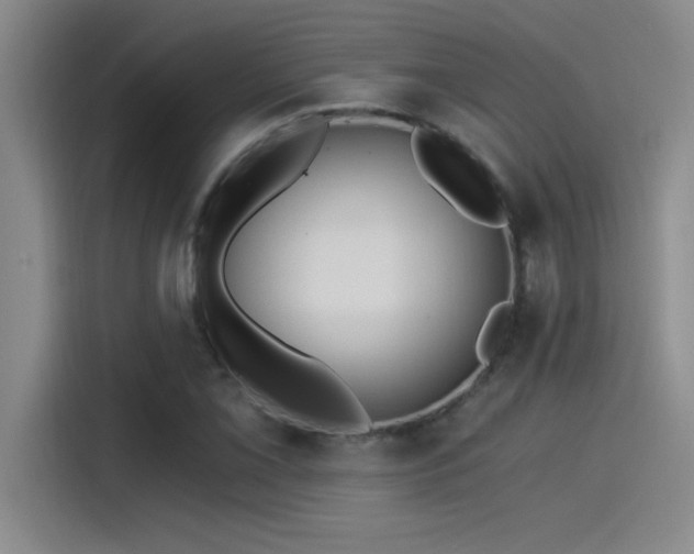 X0000115241069200911061143