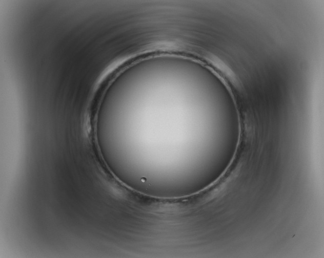 X0000115241070200911061143