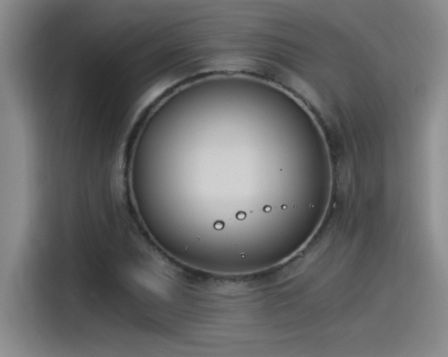 X0000115241071200911061143