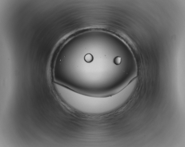 X0000115241072200911061143