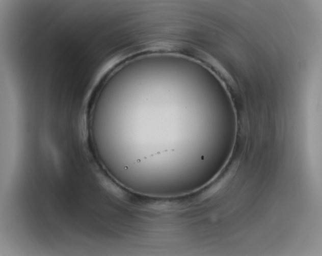 X0000115241075200911061143