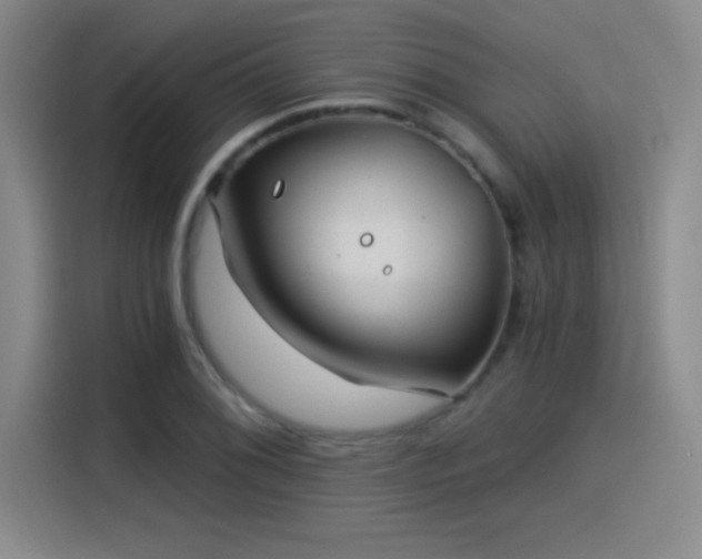 X0000115241076200911061143