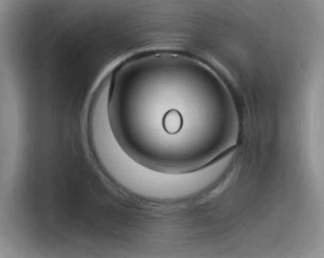 X0000115241077200911061142
