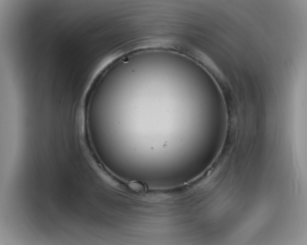 X0000115241079200911061142