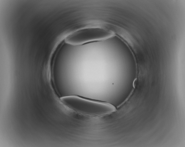 X0000115241080200911061142