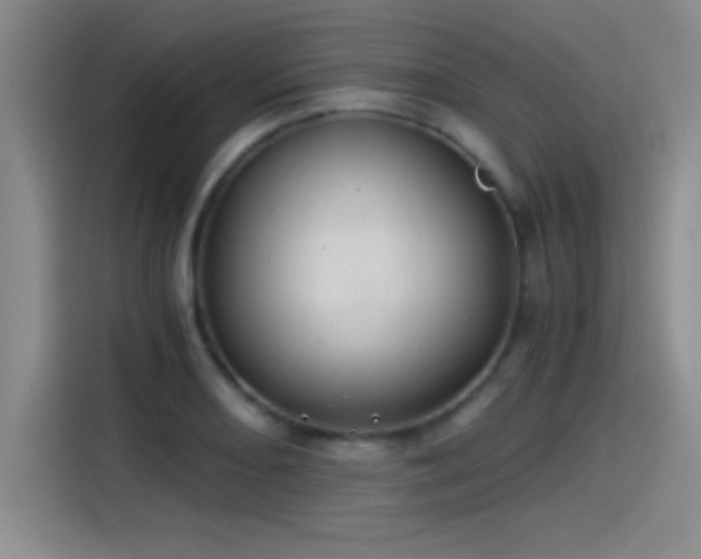 X0000115241082200911061142