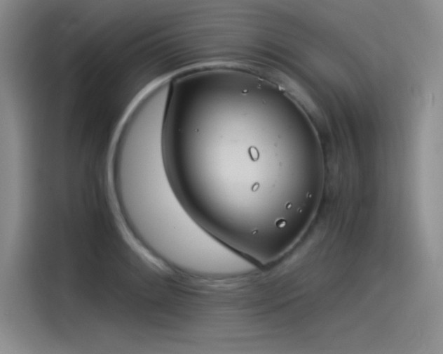 X0000115241084200911061142