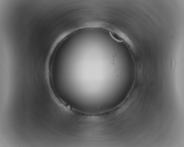 X0000115241088200911061142