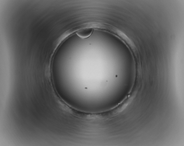X0000115241089200911061142