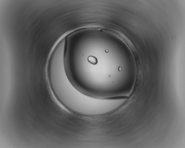 X0000115241092200911061142