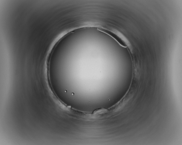 X0000115241096200911061142