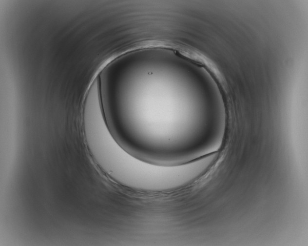 X0000115241097200911061142