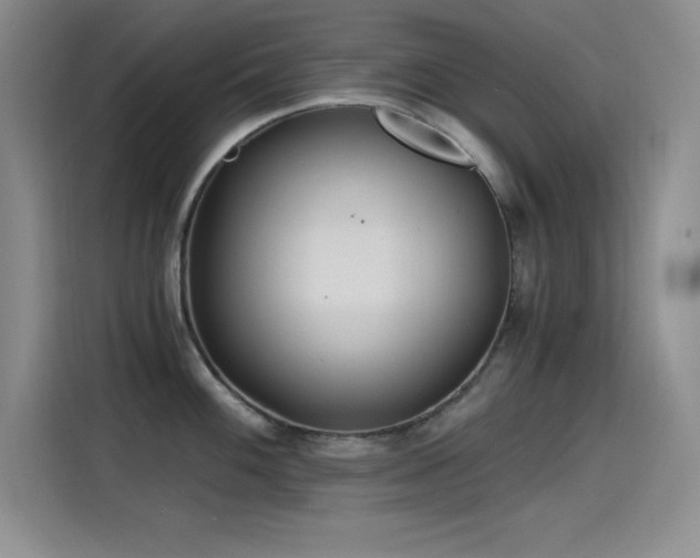 X0000115241100200911061142