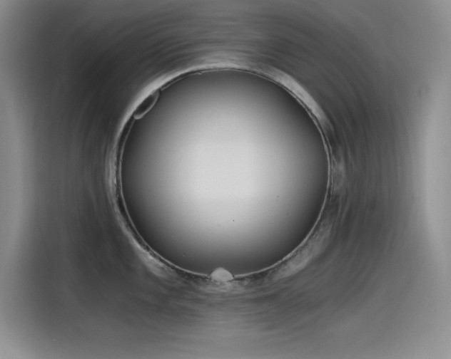 X0000115241101200911061142