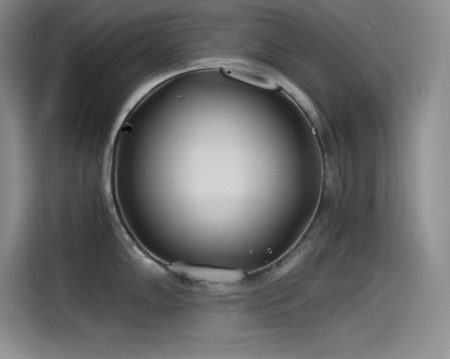 X0000115241102200911061142