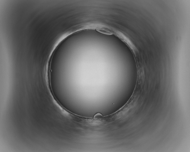 X0000115241103200911061142