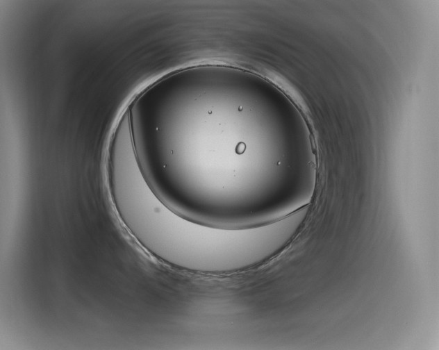 X0000115241104200911061142
