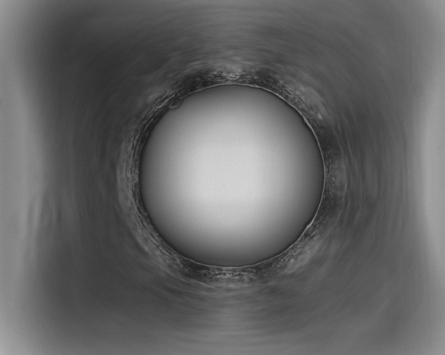 X0000115241105200911061142