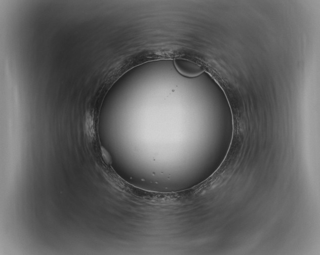 X0000115241106200911061142