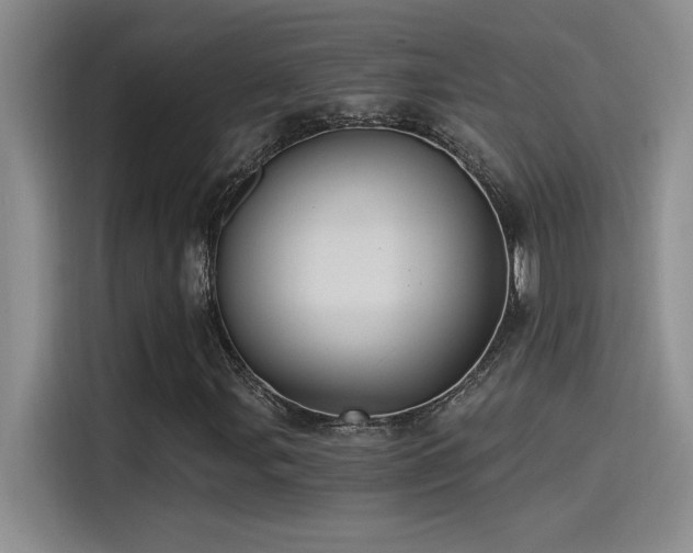 X0000115241107200911061142
