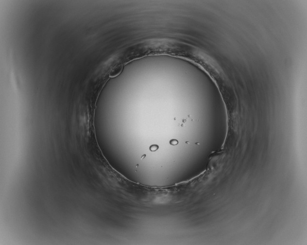 X0000115241111200911061142
