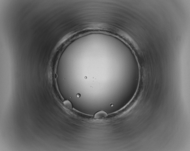 X0000115241114200911061142