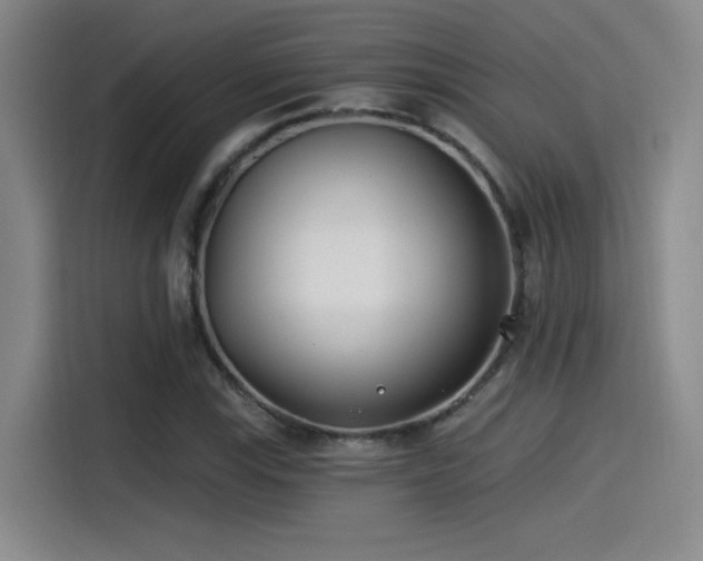 X0000115241115200911061142
