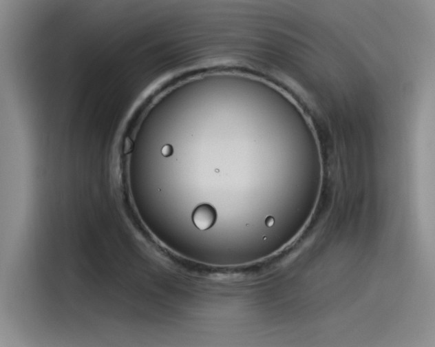 X0000115241118200911061142
