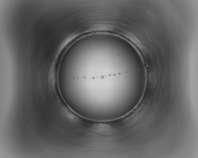 X0000115241119200911061142