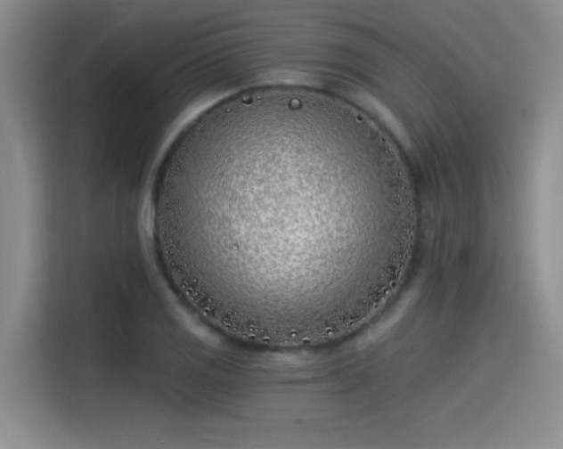 X0000115241125200911061142