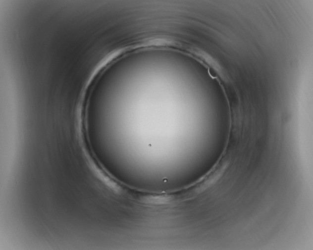 X0000115241134200911061142