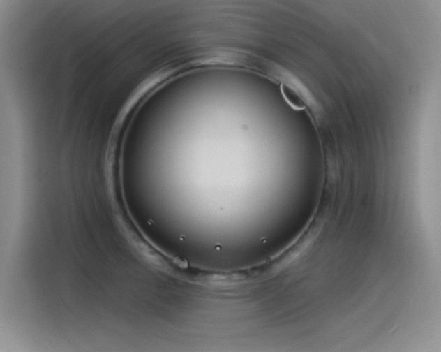X0000115241138200911061142
