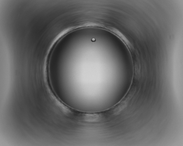 X0000115241142200911061142