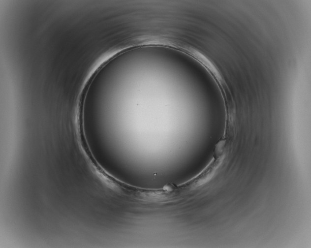 X0000115241149200911061142
