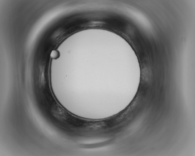 X0000115241150200911061142