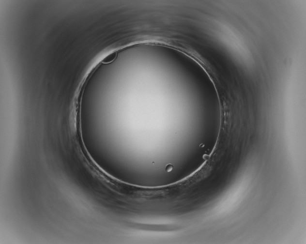 X0000115241151200911061142