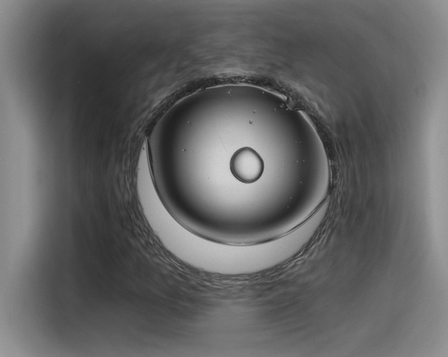 X0000115241157200911061141