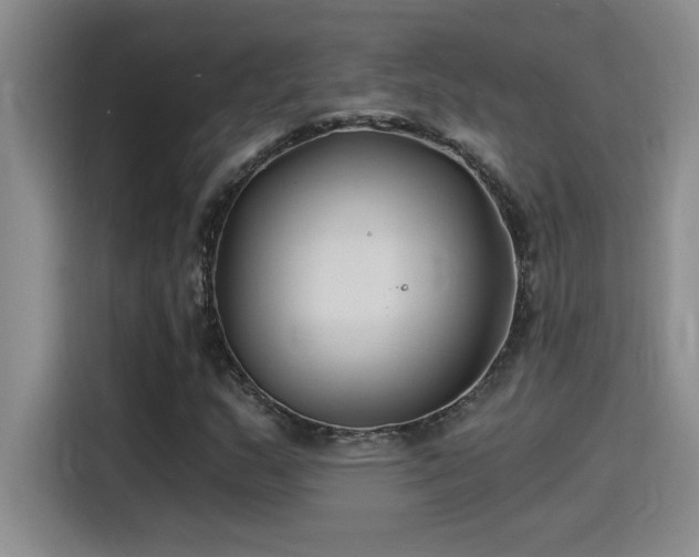 X0000115241159200911061141