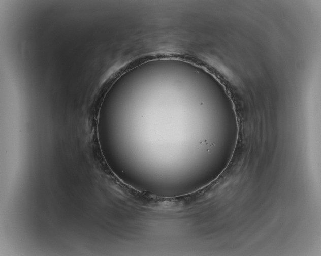 X0000115241160200911061141
