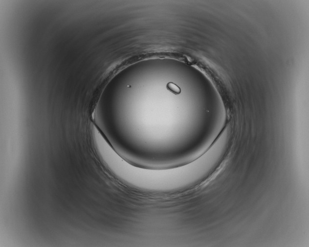 X0000115241161200911061141