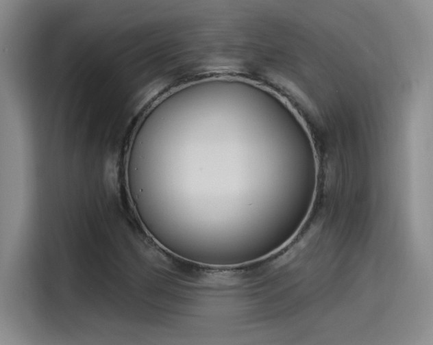 X0000115241162200911061141