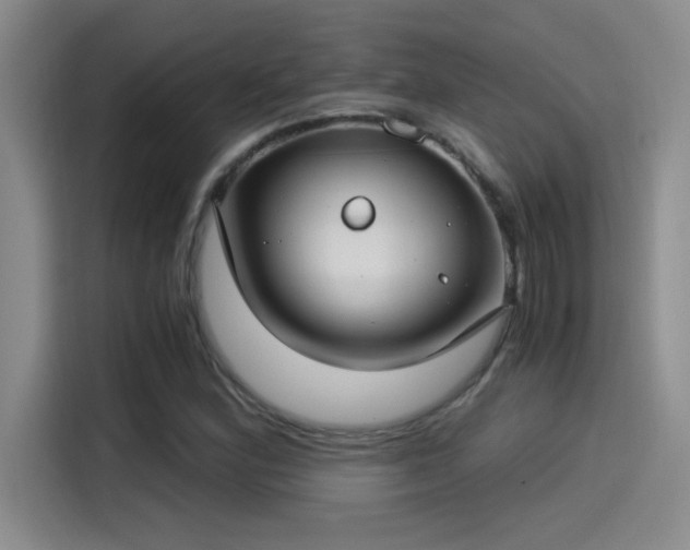X0000115241164200911061141